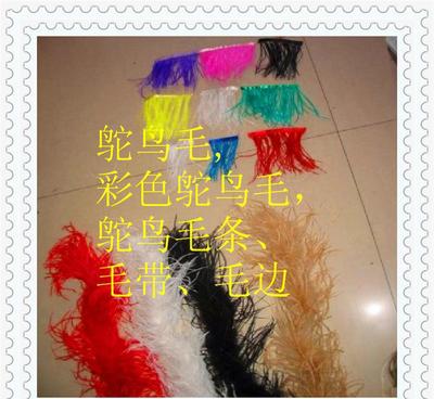 鴕鳥羽毛 從原毛進口到舞臺閃耀的時尚與藝術輔料